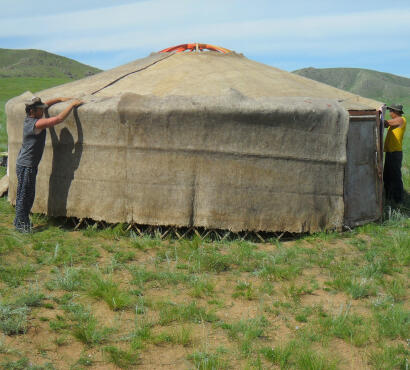 Two people wrapping brown felt insulation around the exterior walls of a ger on the green steppe.