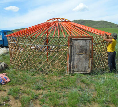 Wooden frame of a ger with orange uni roof poles radiating from the toono crown to the khana lattice walls.